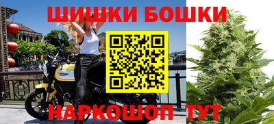индика Кудымкар