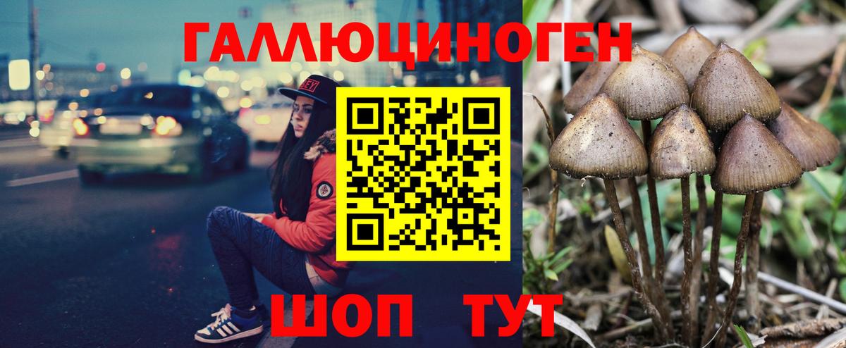 Псилоцибиновые грибы MAGIC MUSHROOMS Котельники