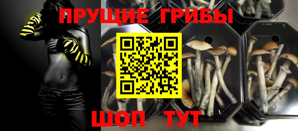 Псилоцибиновые грибы MAGIC MUSHROOMS  Псилоцибиновые грибы MAGIC MUSHROOMS  Котельники  Вход с VPN 